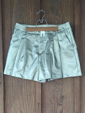 Peach Love California Metallic Silver Pleated Shorts